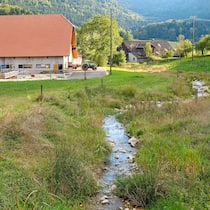 Wie 200 Millionen Franken den Bach runtergehen Renaturierungsprojekt am Ruisseau de la Motte