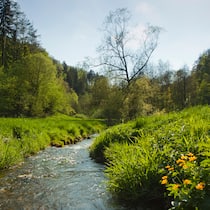 «Was heisst das für unser Trinkwasser?» Bach