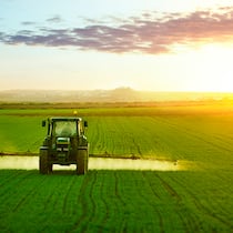 «Glyphosat ist krebserregend» Glyphosat in der Landwirtschaft