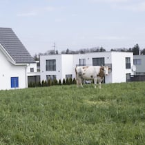 Was riskante Hypotheken für Eigenheimbesitzer bedeuten Lebensraum Schweiz Wohnquartier in Rupperswil (KEYSTONE/RETO SCHLATTER)