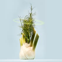 «Das Essen ersetzt die Religion» Fenchel mit Heiligenschein