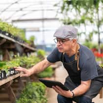 Keine Lust aufs Rentnerleben Ein pensionierter Gärtner kontrolliert Pflanzen in einem Gewächshaus.