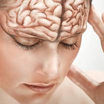 «Fordern Sie Ihr Gehirn, sonst schrumpft es» Gehirn