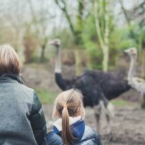 Dank Spenden in den Zoo Kinder im Zoo