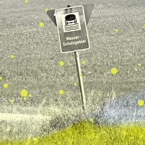 Der Bund kapituliert bei der Schadstoff-Sanierung Collage mit Wiese und Wasserschutzgebiet-Tafel - Viele PFAS-belastete Standorte müssen in den nächsten Jahren saniert werden. Weil die Anzahl solcher Standorte den Rahmen des Machbaren zu sprengen droht, greift der Bund zur Notbremse
