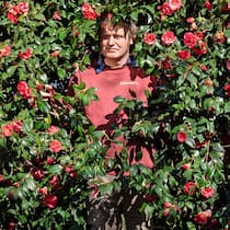 Ein Meer von Blüten Reto Eisenhut: Herr der Kamelien im Botanischen Garten von Gambarogno