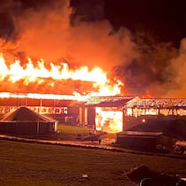 Hunderte Tiere sterben in den Flammen Brand auf einem Bauernhof in Rothenhausen TG am 1. Februar 2021