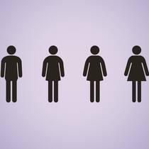Der Bundesrat will kein drittes Geschlecht einführen Illustration: Zwischen den Geschlechtern