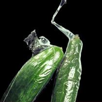 Das Gurken-Dilemma Zwei in Plastikhüllen verpackte Gurken