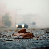 Das Leiden der Wetterfühligen Herbstliche Atmosphäre