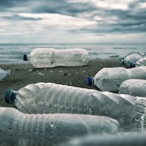 Die PET-Fresser PET-Flaschen am Strand
