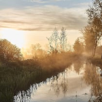 Zu viel Gülle in der Luft Idylle im luzernischen Wauwilermoos