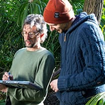 4 innovative Ideen gegen die Folgen des Klimawandels in der Schweiz Die Umweltwissenschaftler Boris Pezzatti (links) und Vincent Fehr erforschen im Tessin die Ausbreitung der Chinesischen Hanfpalme