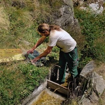 Wie Walliser Landwirte mit uralten Traditionen den Wassermangel lindern Daniel Wismer steckt einen Schieber um und leitet Wasser zu den Spritzen auf seinem Land.