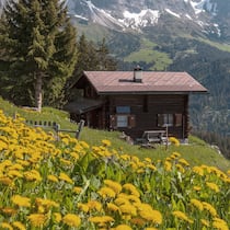 «Das ist wie ein schlechter Witz» Maiensäss Guora oberhalb von Seewis in Graubünden
