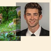 Einer gegen alle Collage mit Foto von Pascal Wolf und von einem Fuchs - Pascal Wolf ist 31, Jurist – und gegen die Fuchsjagd. In 14 Kantonen hat er schon Petitionen eingereicht. Seine Geschichte zeigt: Einzelkämpfer haben es schwer, können aber durchaus etwas erreichen