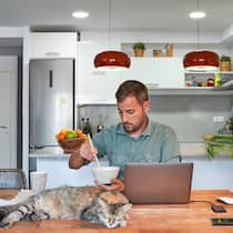 Berufskosten im Covid-Jahr steuerlich abziehen? Ein Angestellter sitzt bei sich zu Hause in der Küche am Esstisch und isst gerade zu Mittag, während er den Laptop aufgeklappt hält und seine Katze friedlich auf dem Tisch schläft.