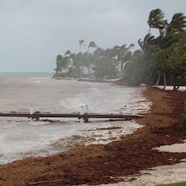 Reise abbrechen wegen Hurrikan «Irma»? Höhere Gewalt Flugbuchung