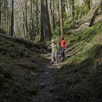 Machen Sie einen Ausflug ins Kühle – 9 Tipps Wanderer im Wald - Bei Temperaturen über 35 Grad bleibt man lieber drinnen, besonders ältere Menschen. Doch beim Beobachter finden Sie neun kühle Ausflugsziele.