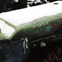 Ein Jahr Krieg in der Ukraine «Putin R. I. P.», steht auf einem zerstörten russischen Panzer