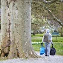 Keine U-Haft für Obdachlosen – Gericht muss neu entscheiden Obdachloser in einem Park - Ein obdachloser, psychisch kranker Mann ist nicht immer erreichbar. Das genügt nicht, um ihn in Untersuchungshaft zu stecken, entscheidet das Bundesgericht