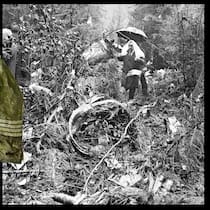 Der Bombenbauer bekam ein Visum Absturzstelle und Pilotenuniform