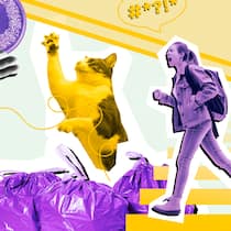 Vermeiden Sie blöde Bussen – dank unserem Trottoir-Knigge Collage mit Katze, Müllsäcken und Liegestuhl - Darf man mit dem E-Scooter auf dem Gehweg fahren? Und wie sieht es mit abgestellten Abfallsäcken aus? Der Beobachter erklärt, was erlaubt ist – und was nicht