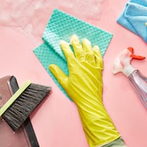 Wir Lohndrücker Putzutensilien