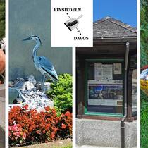 Ein Dorf namens Putz – nicht nur sauber, sondern rein Szenen eines Trips von Einsiedeln nach Davos