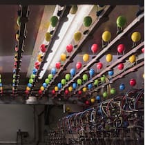 Der Ostereier-Wahnsinn Farbige Ostereier