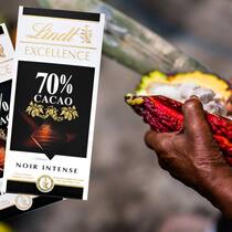 Markenschokoladen enthalten Blei und Cadmium – darunter eine aus der Schweiz Lindt Schokolade