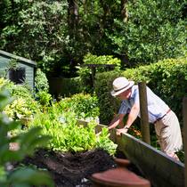 Heilsames Gärtnern Gartenarbeit