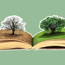 140’000 Bäume versprochen – wo sind sie? Zwei Bäume die aus einem aufgeschlagenen Buch wachsen.Auf der rechten Seite ein gesunder Baum, auf der linken ein verdorrter.