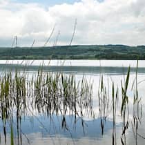 Eine Atempause am Wasser Baldeggersee