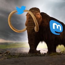 Mastodon vs. Twitter – die Unterschiede und was es zu beachten gilt Mastodon will Twitter ersetzen