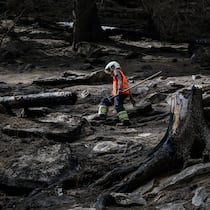 «Waldbrände sind für die Biodiversität ein Segen» Des pompiers continuent d'eteindre le feu de l'incendie de foret au-dessus de Bitsch/Ried-Moerel le vendredi 28 juillet 2023 a Bitsch dans le Haut-Valais. (KEYSTONE/Jean-Christophe Bott)