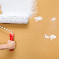 Dank Spenden keine Mehrkosten beim Umzug Dank Spenden keine Mehrkosten beim Umzug