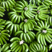 Warum wir fairer einkaufen als die Deutschen Bananen