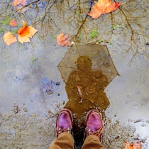 Keine Lust auf gar nichts Im Herbst und Winter erleben viele Menschen depressive Verstimmungen.