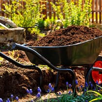 Dem Garten auf den Grund gehen Dem Garten auf den Grund gehen
