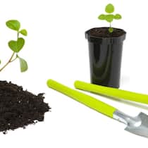 Reihenhaus-Garten? Nein danke! Reihenhaus-Garten? Nein danke!