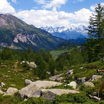 Auf dem letzten Zacken Auf dem letzten Zacken