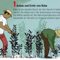 Die Kokain-Connection Die Kokain-Connection