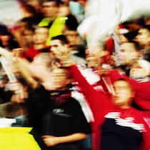 Fluchen mit dem Sohn Fluchen mit dem Sohn