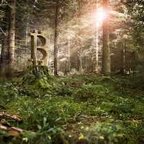 Keine Kryptowährung frisst mehr Strom als Bitcoins Bitcoinzeichen aus Holz in grünem Wald. Der Bitcoin sowie andere Kryptowährungen verbrauchen Unmengen an Strom und sind wahre CO2-Schleudern. Die Zahlen dazu.