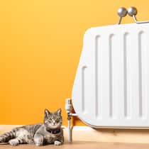 Das Heizkosten-Orakel Heizkörper als Portemonnaie