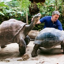 Harte Schale, sensibler Kern Harte Schale, sensibler Kern