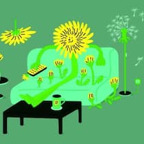 Jetzt reichts aber, Löwenzahn! Löwenzahn sitzt auf Sofa im Wohnzimmer; Glosse zu unbeliebten Pflanzen