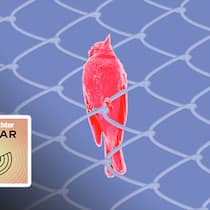 Zu Unrecht verurteilt: Staatsanwälte pfuschen bei Strafbefehlen Kleiner roter Vogel vor blauem Hintergrund und Maschendrahtzaun. Im Podcast «Beobachter Radar» greifen Redaktorin Jasmine Helbling und Chefredaktor Dominique Strebel alle zwei Wochen ein spannendes Thema auf. Diesmal: Pfusch bei Strafbefehlen.