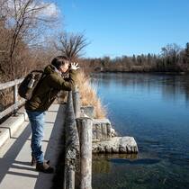 7 schöne Flusswanderungen in der Schweiz Unterwegs auf dem Uferweg entlang des Rheins bei Rüdlingen SH.